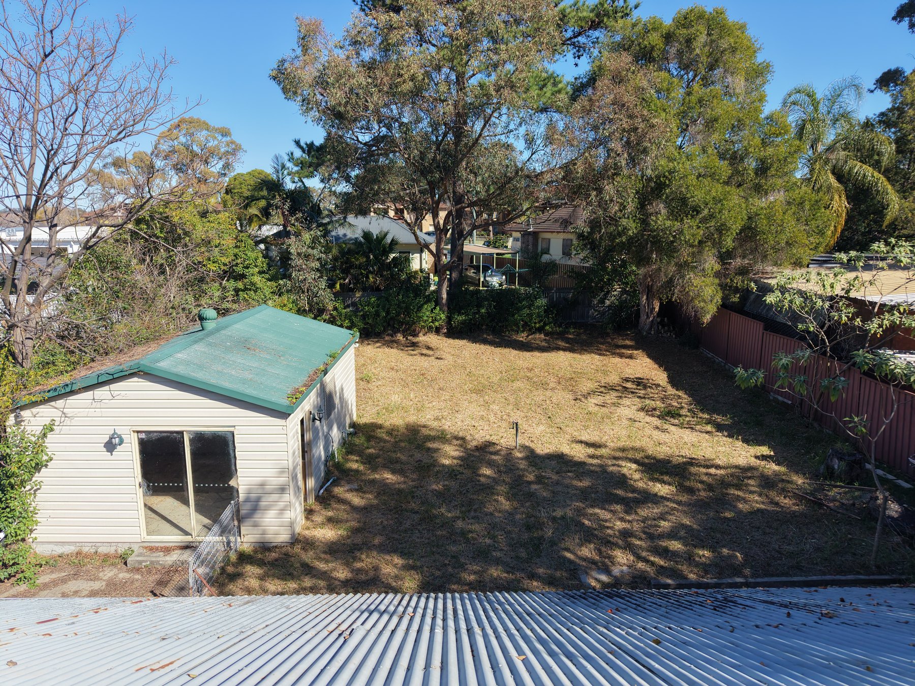Outdoor space with trees and a small outbuilding
