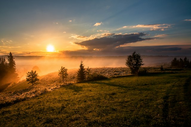 Sunrise over a misty meadow